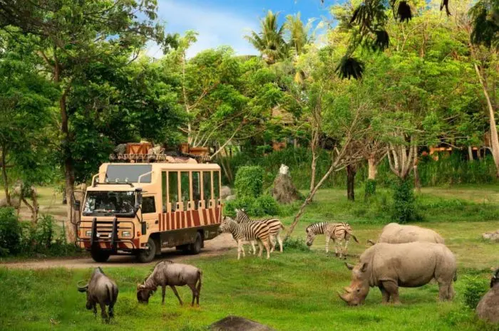 Wisata Edukasi Sambil Melihat Satwa di Taman Safari